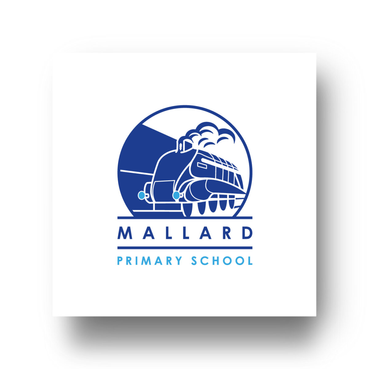 Mallard Primary School | Digital Schools